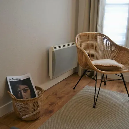 Apartment Le Voltaire Centre Colmar