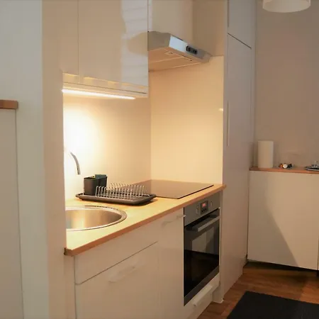 Apartment Le Voltaire Centre Colmar