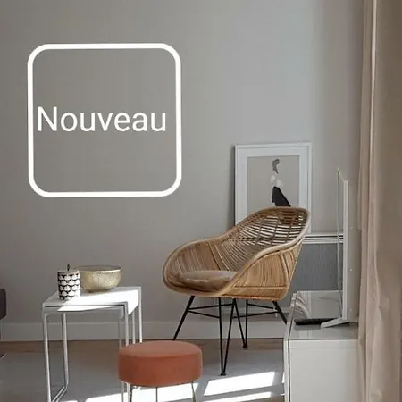 Le Voltaire Centre 公寓 科尔马