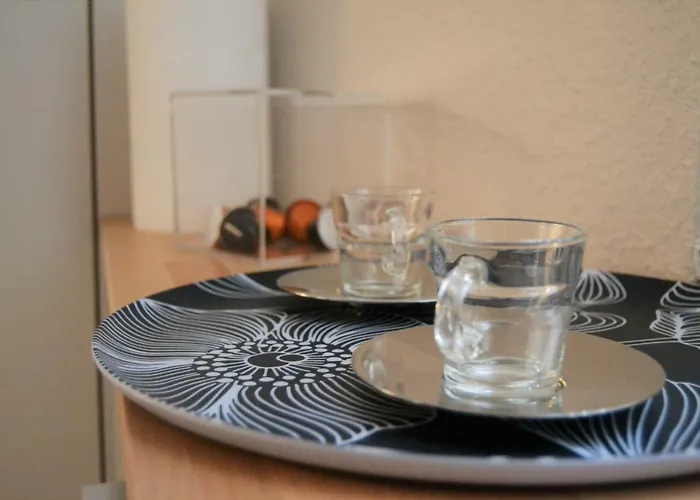 Apartment Le Voltaire Centre Colmar