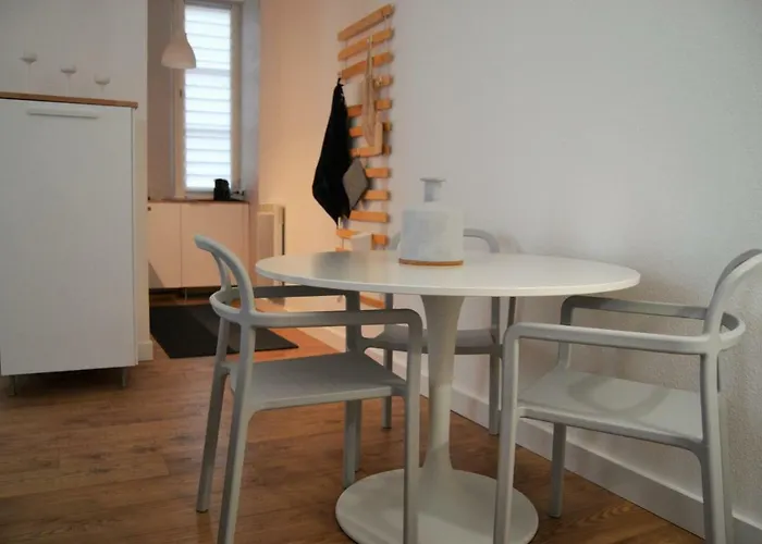 Apartment Le Voltaire Centre Colmar