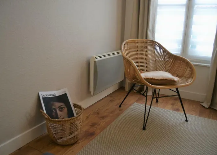 Apartment Le Voltaire Centre Colmar