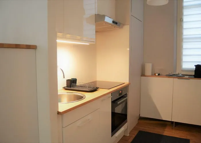 Apartment Le Voltaire Centre Colmar