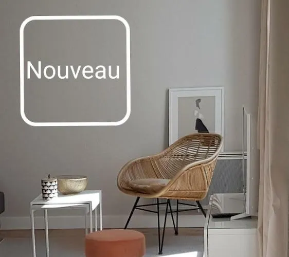 Le Voltaire Centre Apartment Colmar